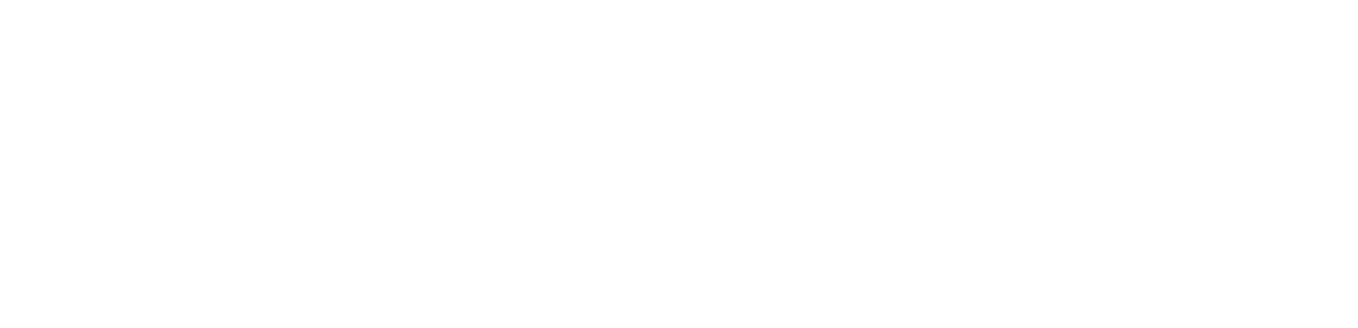highroller logo